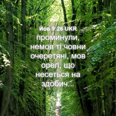 Picture 04 - Йов 9:26 UKR - проминули, немов ті човни - Bible Verse Picture