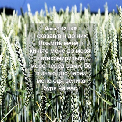 Picture 04 - Йона 1:12 UKR - І сказав він до них: - Bible Verse Picture