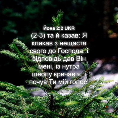 Picture 04 - Йона 2:2 UKR - (2-3) та й казав: Я кликав з - Bible Verse Picture