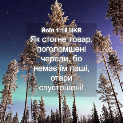 Picture 04 - Йоїл 1:18 UKR - Як стогне товар, - Bible Verse Picture