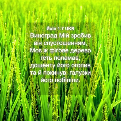 Picture 04 - Йоїл 1:7 UKR - Виноград Мій зробив він - Bible Verse Picture