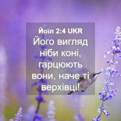 Picture 04 - Йоїл 2:4 UKR - Його вигляд ніби коні, - Bible Verse Picture