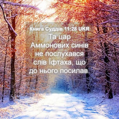 Picture 04 - Книга Суддів 11:28 UKR - Та цар Аммонових синів не - Bible Verse Picture