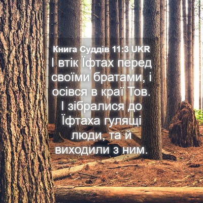Picture 04 - Книга Суддів 11:3 UKR - І втік Їфтах перед своїми - Bible Verse Picture