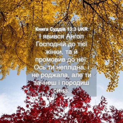 Picture 04 - Книга Суддів 13:3 UKR - І явився Ангол Господній - Bible Verse Picture