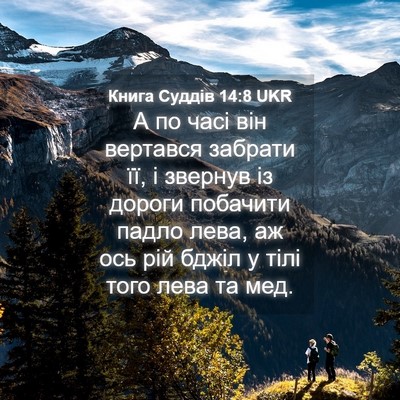 Picture 04 - Книга Суддів 14:8 UKR - А по часі він вертався - Bible Verse Picture