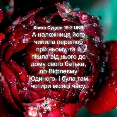 Picture 04 - Книга Суддів 19:2 UKR - А наложниця його чинила - Bible Verse Picture