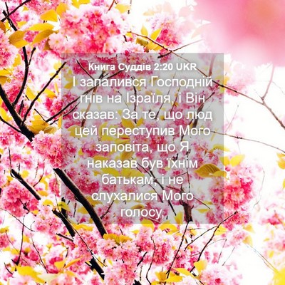 Picture 04 - Книга Суддів 2:20 UKR - І запалився Господній гнів - Bible Verse Picture