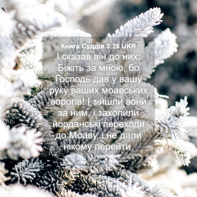 Picture 04 - Книга Суддів 3:28 UKR - І сказав він до них: Біжіть - Bible Verse Picture