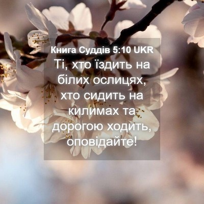 Picture 04 - Книга Суддів 5:10 UKR - Ті, хто їздить на білих - Bible Verse Picture