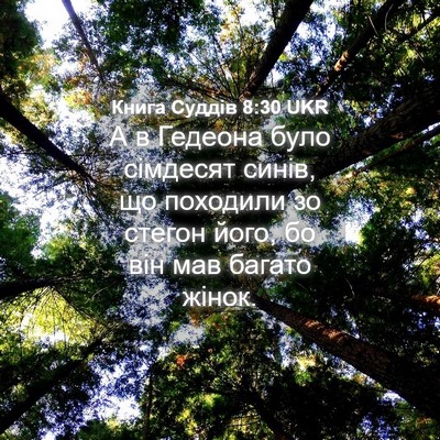 Picture 04 - Книга Суддів 8:30 UKR - А в Гедеона було сімдесят - Bible Verse Picture