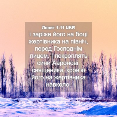 Picture 04 - Левит 1:11 UKR - і заріже його на боці - Bible Verse Picture