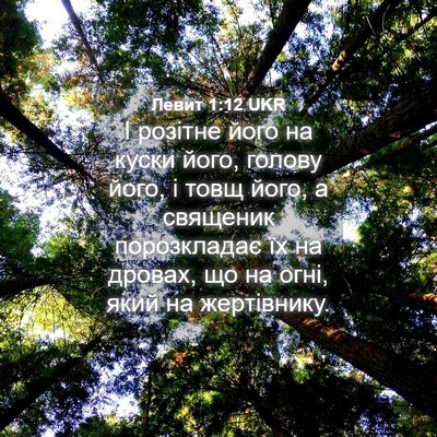 Picture 04 - Левит 1:12 UKR - І розітне його на куски - Bible Verse Picture