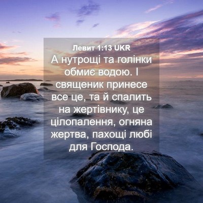 Picture 04 - Левит 1:13 UKR - А нутрощі та голінки обмиє - Bible Verse Picture