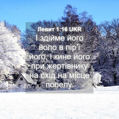 Picture 04 - Левит 1:16 UKR - І здійме його воло в пір'ї - Bible Verse Picture