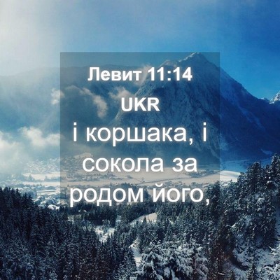 Picture 04 - Левит 11:14 UKR - і коршака, і сокола за - Bible Verse Picture