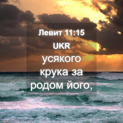 Picture 04 - Левит 11:15 UKR - усякого крука за родом - Bible Verse Picture