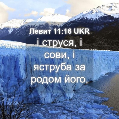 Picture 04 - Левит 11:16 UKR - і струся, і сови, і яструба - Bible Verse Picture