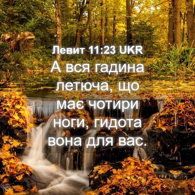 Picture 04 - Левит 11:23 UKR - А вся гадина летюча, що має - Bible Verse Picture