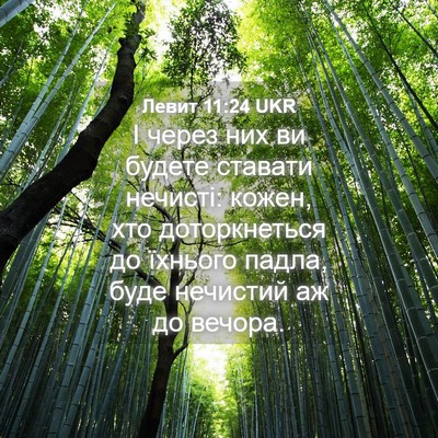 Picture 04 - Левит 11:24 UKR - І через них ви будете - Bible Verse Picture