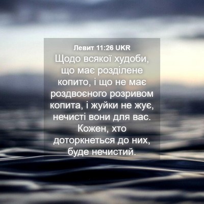 Picture 04 - Левит 11:26 UKR - Щодо всякої худоби, що має - Bible Verse Picture
