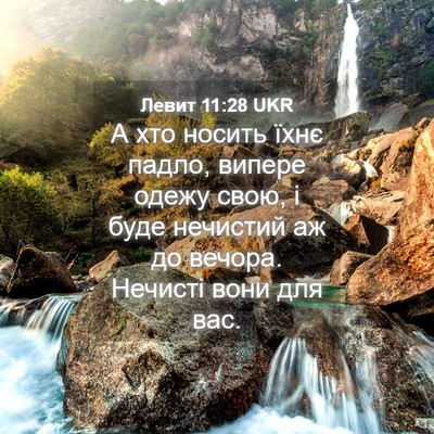 Picture 04 - Левит 11:28 UKR - А хто носить їхнє падло, - Bible Verse Picture
