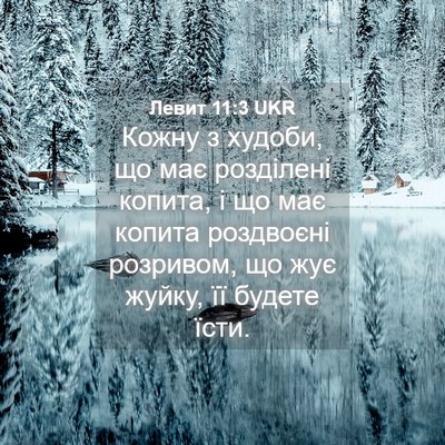 Picture 04 - Левит 11:3 UKR - Кожну з худоби, що має - Bible Verse Picture