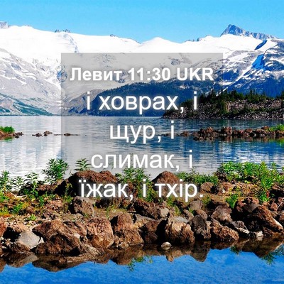 Picture 04 - Левит 11:30 UKR - і ховрах, і щур, і слимак, і - Bible Verse Picture