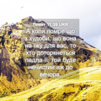 Picture 04 - Левит 11:39 UKR - А коли помре що з худоби, що - Bible Verse Picture