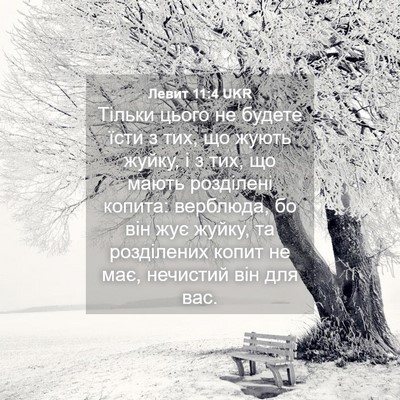 Picture 04 - Левит 11:4 UKR - Тільки цього не будете - Bible Verse Picture