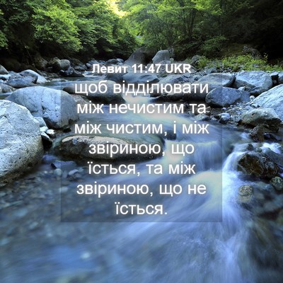 Picture 04 - Левит 11:47 UKR - щоб відділювати між - Bible Verse Picture