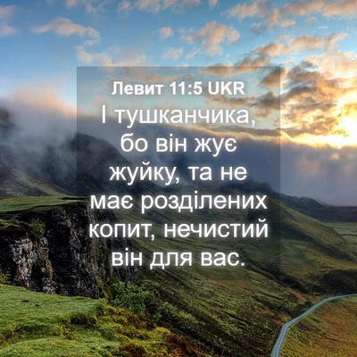 Picture 04 - Левит 11:5 UKR - І тушканчика, бо він жує - Bible Verse Picture