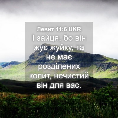 Picture 04 - Левит 11:6 UKR - І зайця, бо він жує жуйку, - Bible Verse Picture
