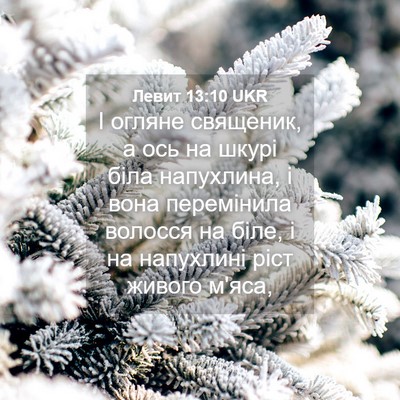 Picture 04 - Левит 13:10 UKR - І огляне священик, а ось на - Bible Verse Picture
