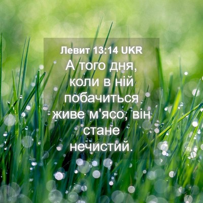 Picture 04 - Левит 13:14 UKR - А того дня, коли в ній - Bible Verse Picture
