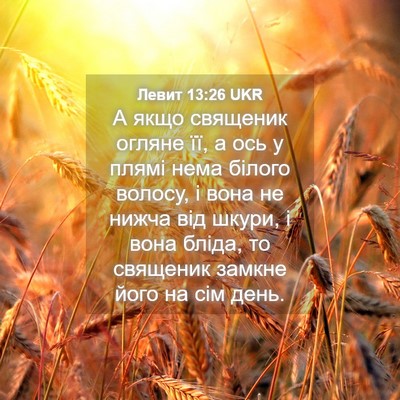Picture 04 - Левит 13:26 UKR - А якщо священик огляне її, - Bible Verse Picture