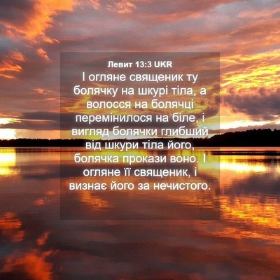 Picture 04 - Левит 13:3 UKR - І огляне священик ту - Bible Verse Picture