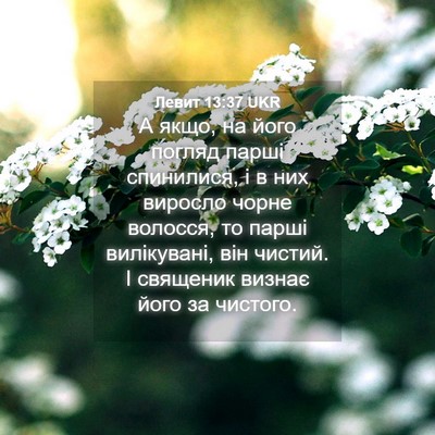 Picture 04 - Левит 13:37 UKR - А якщо, на його погляд - Bible Verse Picture