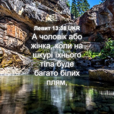 Picture 04 - Левит 13:38 UKR - А чоловік або жінка, коли - Bible Verse Picture