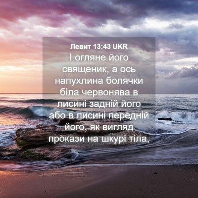 Picture 04 - Левит 13:43 UKR - І огляне його священик, а - Bible Verse Picture