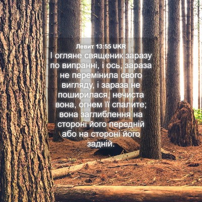 Picture 04 - Левит 13:55 UKR - І огляне священик заразу - Bible Verse Picture