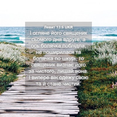 Picture 04 - Левит 13:6 UKR - І огляне його священик - Bible Verse Picture