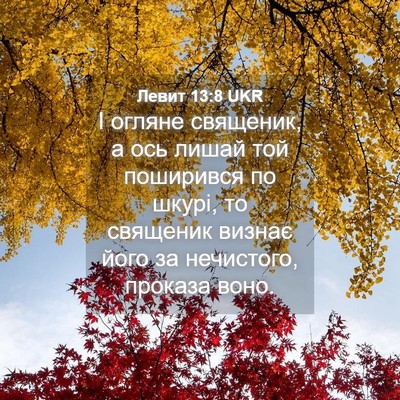 Picture 04 - Левит 13:8 UKR - І огляне священик, а ось - Bible Verse Picture
