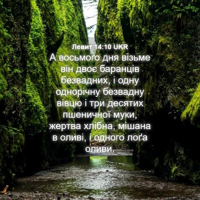 Picture 04 - Левит 14:10 UKR - А восьмого дня візьме він - Bible Verse Picture