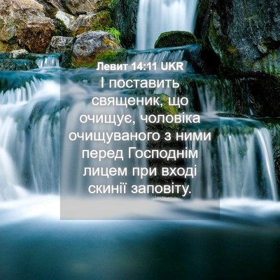 Picture 04 - Левит 14:11 UKR - І поставить священик, що - Bible Verse Picture