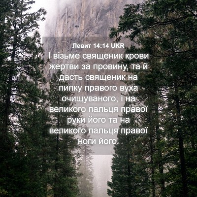 Picture 04 - Левит 14:14 UKR - І візьме священик крови - Bible Verse Picture