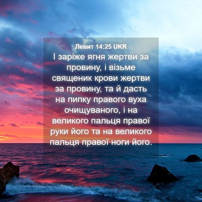 Picture 04 - Левит 14:25 UKR - І заріже ягня жертви за - Bible Verse Picture
