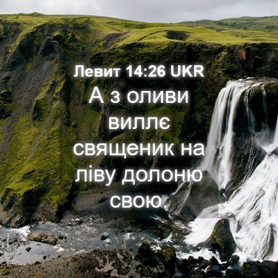 Picture 04 - Левит 14:26 UKR - А з оливи виллє священик на - Bible Verse Picture