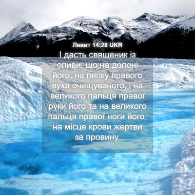 Picture 04 - Левит 14:28 UKR - І дасть священик із оливи, - Bible Verse Picture