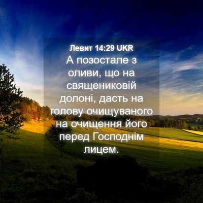 Picture 04 - Левит 14:29 UKR - А позостале з оливи, що на - Bible Verse Picture